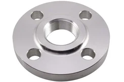 Screwed Threaded Flanges